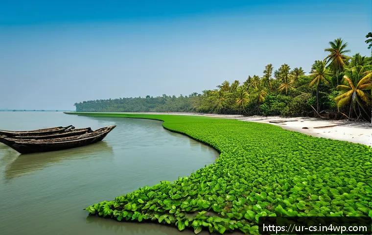 해수면 상승과 도시 인프라 개선 방안 - A vibrant coastal scene in Bangladesh featuring dense mangrove forests along the shoreline, with lus...