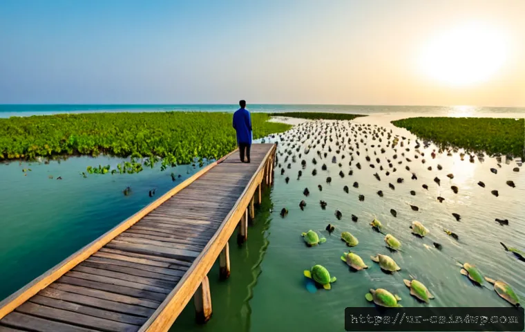 Home 17 해수면 상승과 해양 생물 보존 전략 - Photorealistic coastal conservation scene in Gwadar, Pakistan: a Pakistani marine biologist in modes...